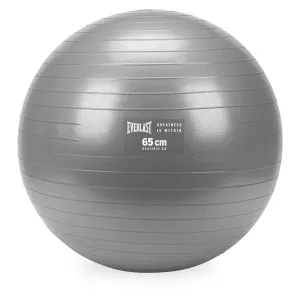 Burst Resistant Fitness Ball