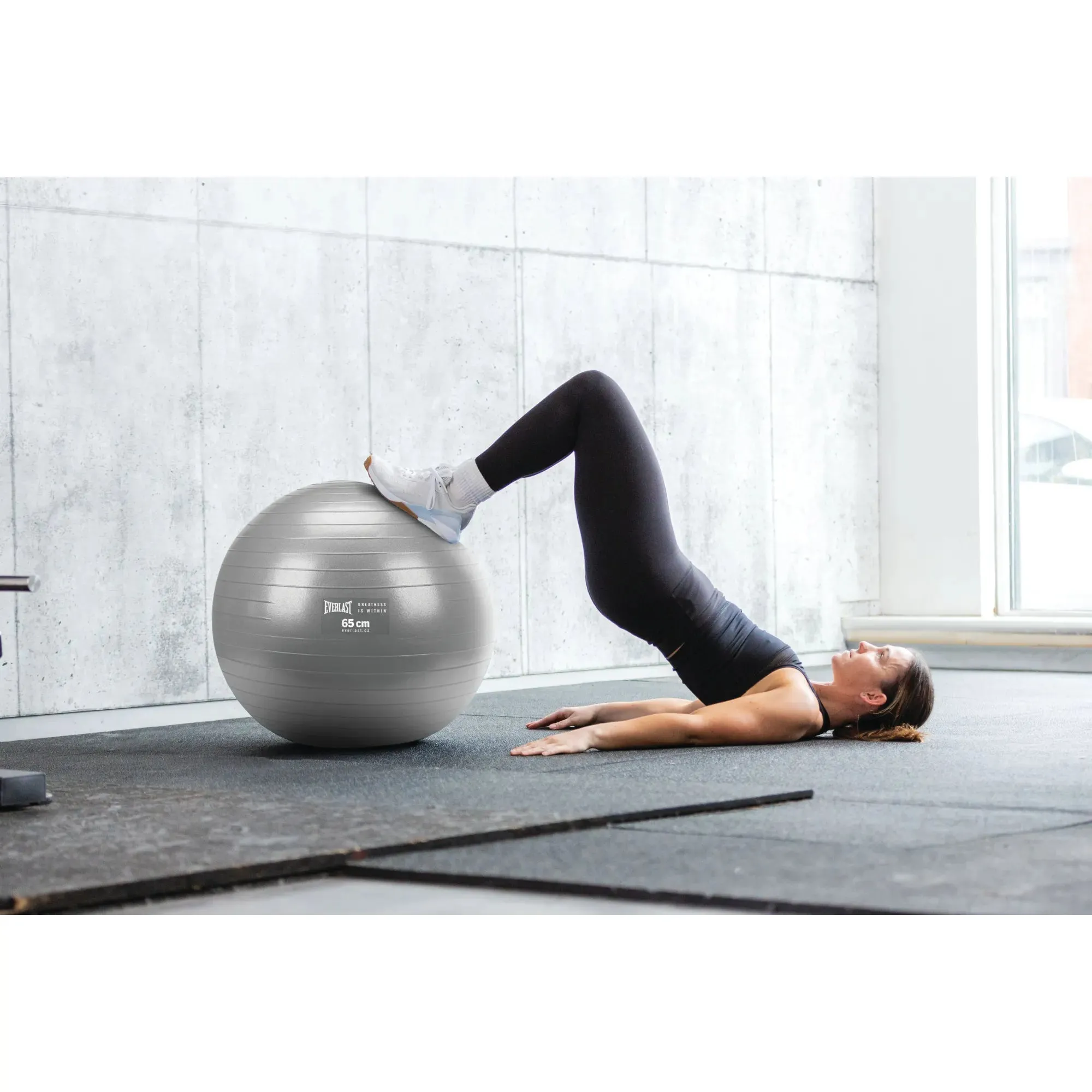 Burst Resistant Fitness Ball