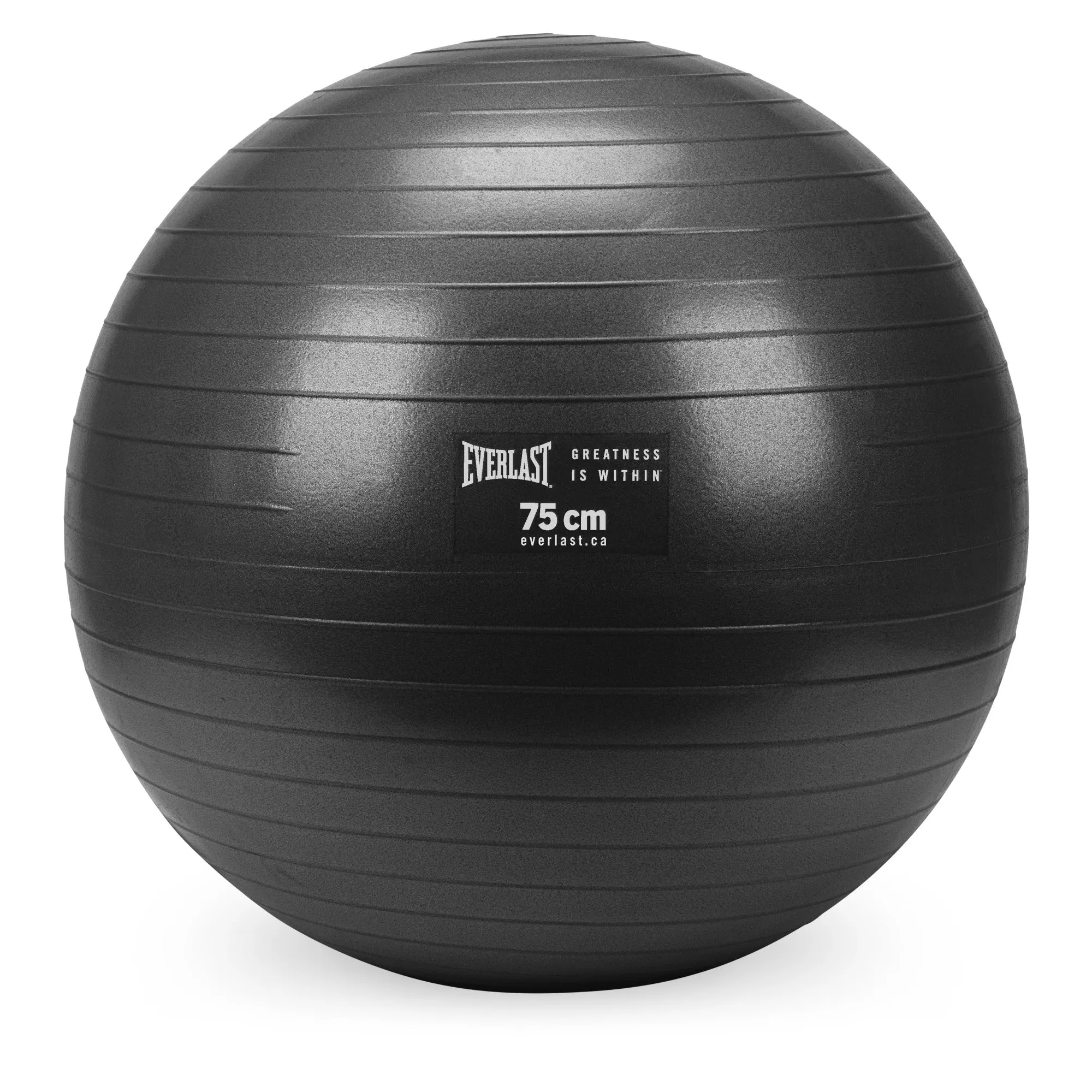 Burst Resistant Fitness Ball