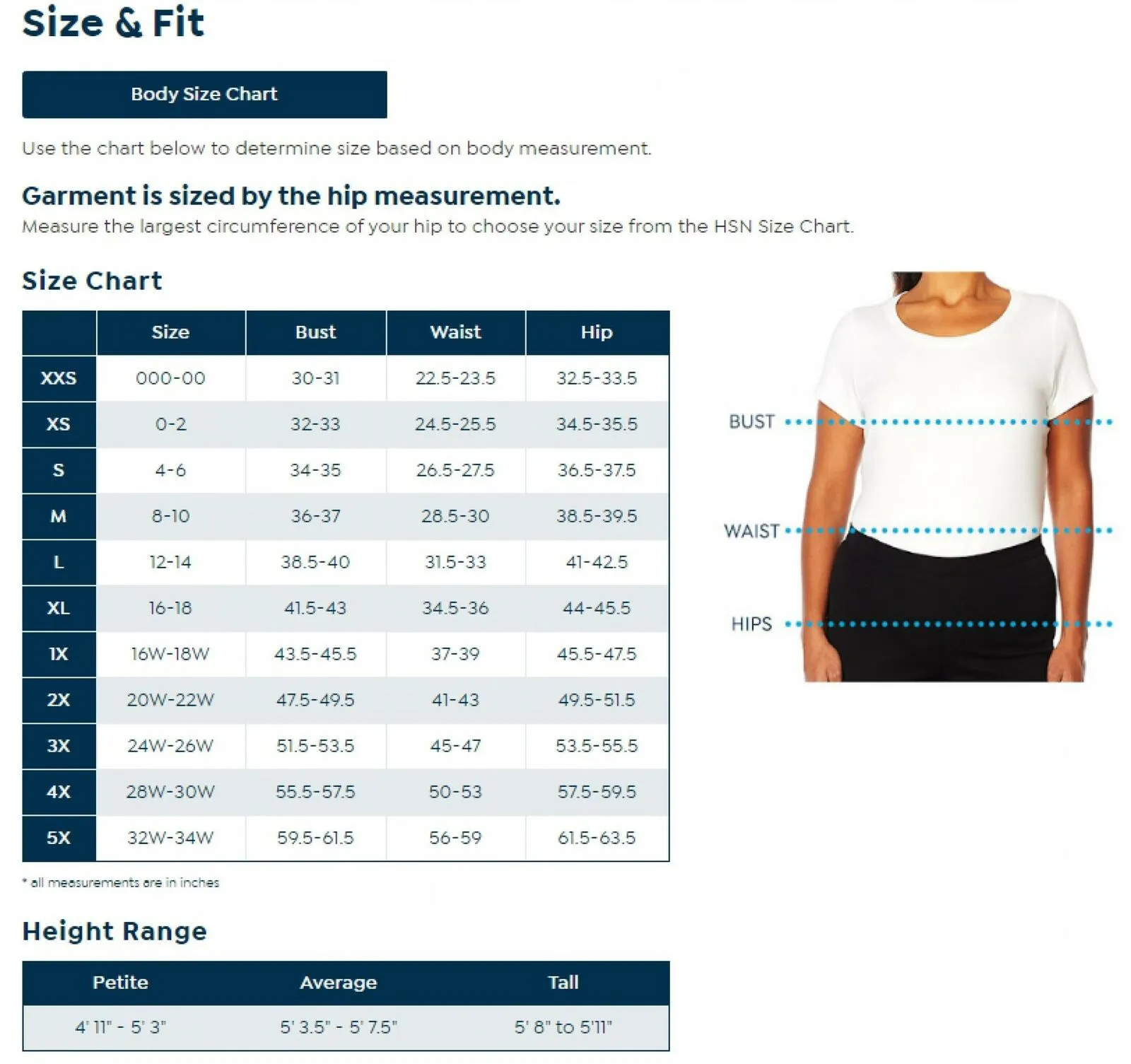 DG2 by Diane Gilman Women's Plus Size Short-Sleeve Mesh V-Neck T-Shirt