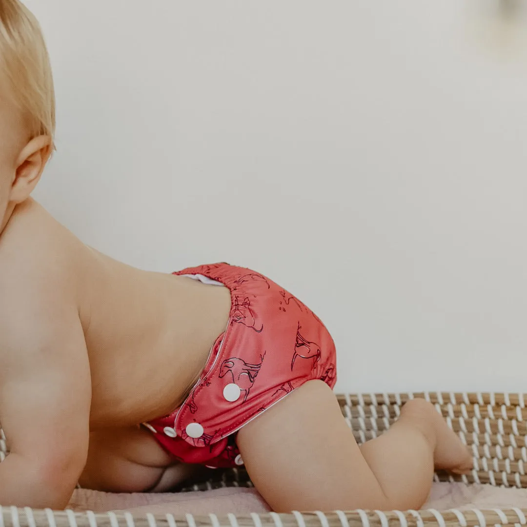 Dogs Reusable Nappy Set
