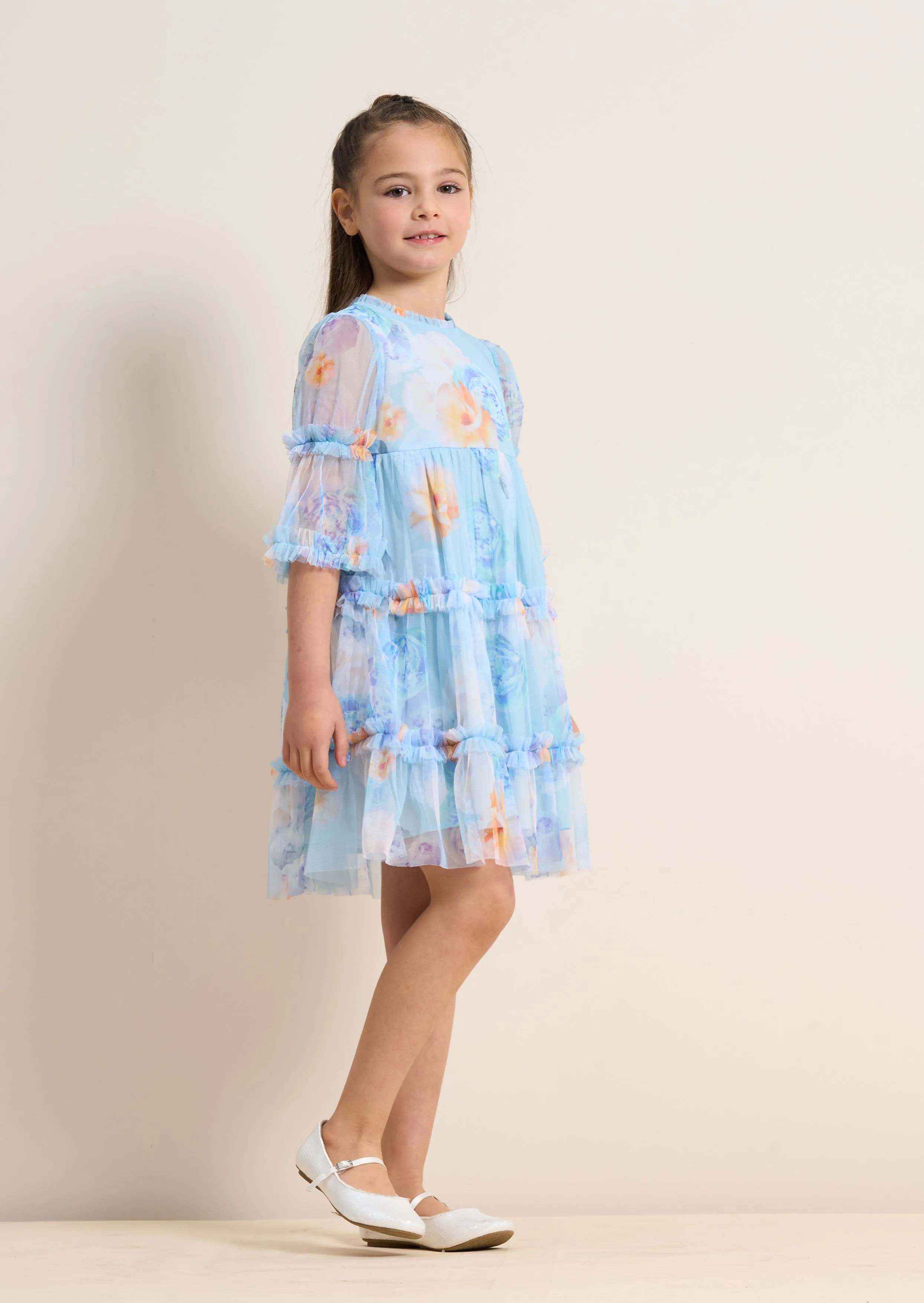 Eleanor Mesh Ruffle Dress
