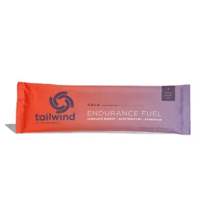 Endurance Fuel - Caffinated Drink Mix (Stick Pack)
