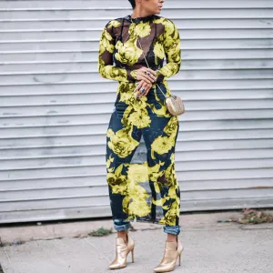 Floral Print Sheer Mesh Long Sleeve Maxi Dress