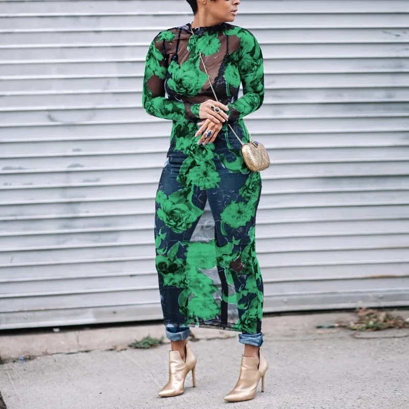 Floral Print Sheer Mesh Long Sleeve Maxi Dress
