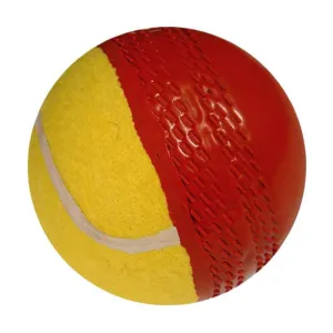 Gray Nicolls Swing Cricket Ball