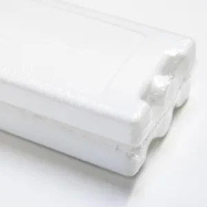 Ice-pack pour glacière et sac à dos glacière - 175 grammes - lot de 2 ice-packs