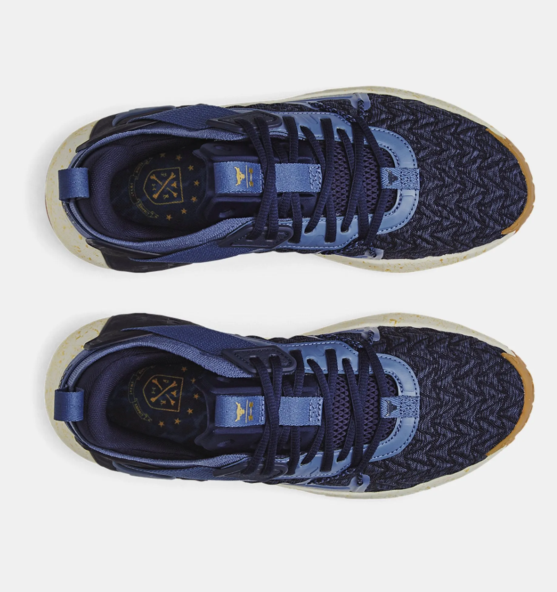 Men's Project Rock 6 Training Shoes