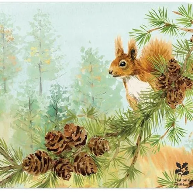 National Trust Red Squirrel Worktop Protector