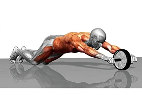 OJS Abs Roller For Abs Exercise Equipment With Knee Mat For Men & Women Abs Wheel For Home Gym, Workouts And Exercise - Belly Fat Burner For Women And Men