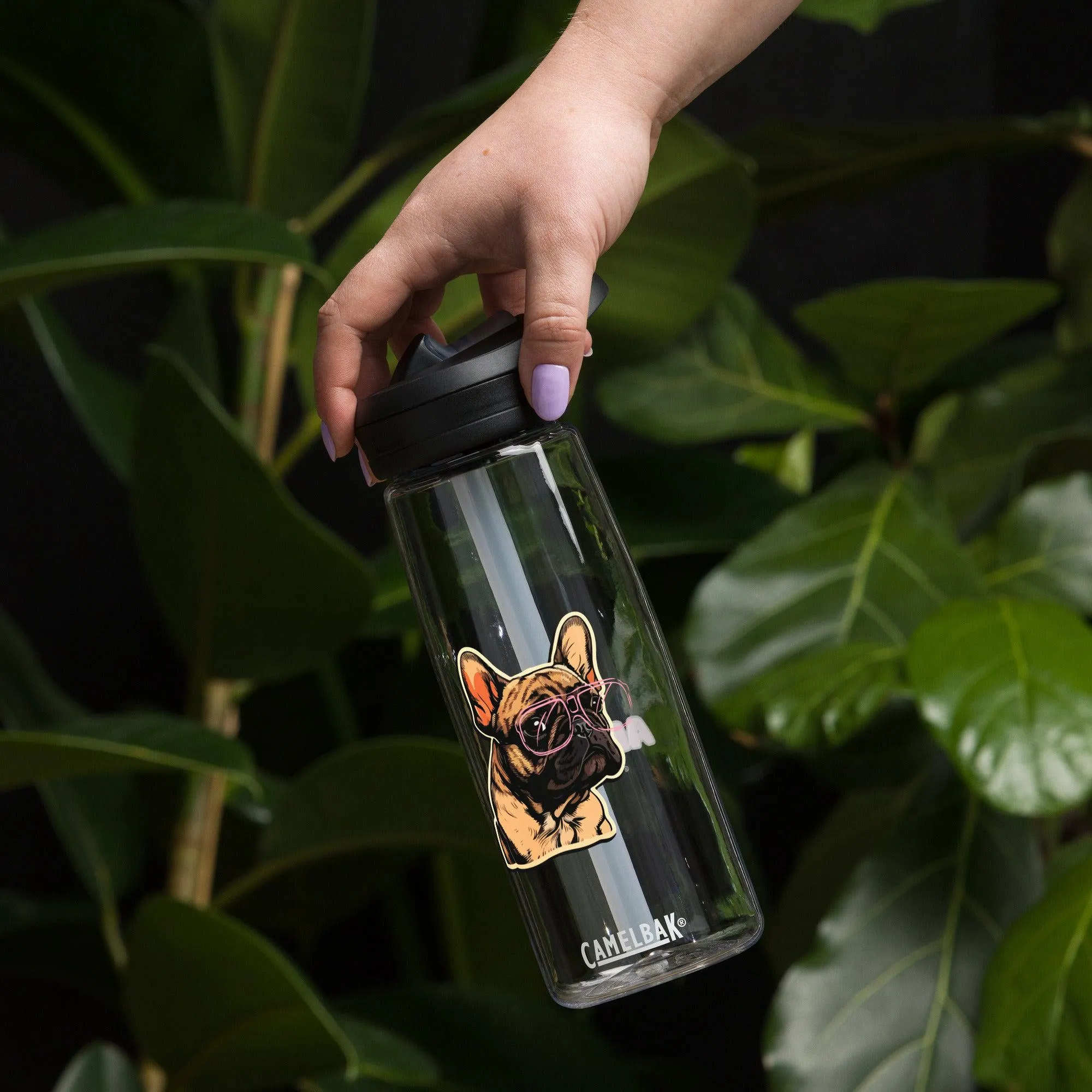 "Los Angeles" x New Frenchie Water Bottle