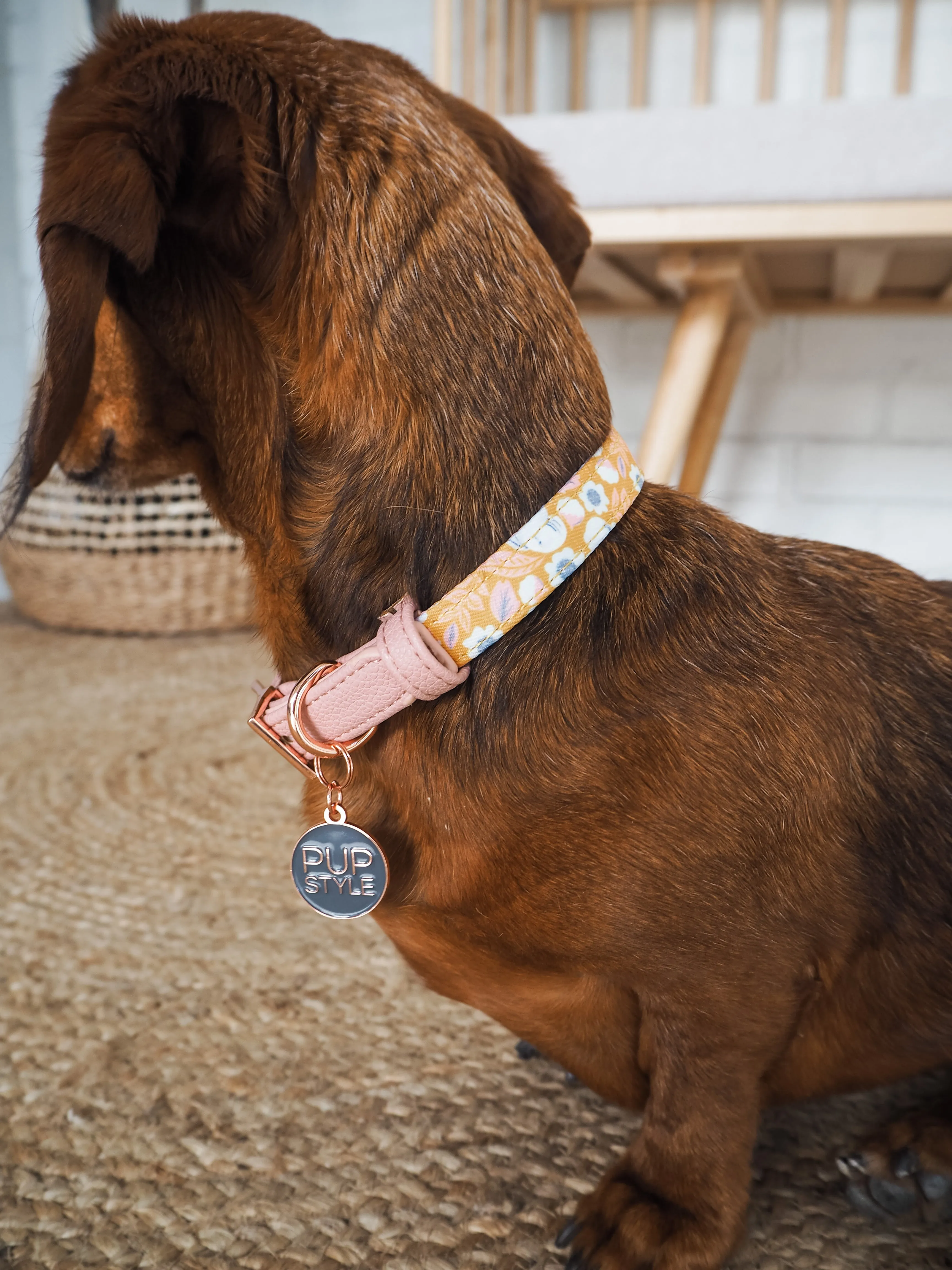 "Summer Fling" City Collar