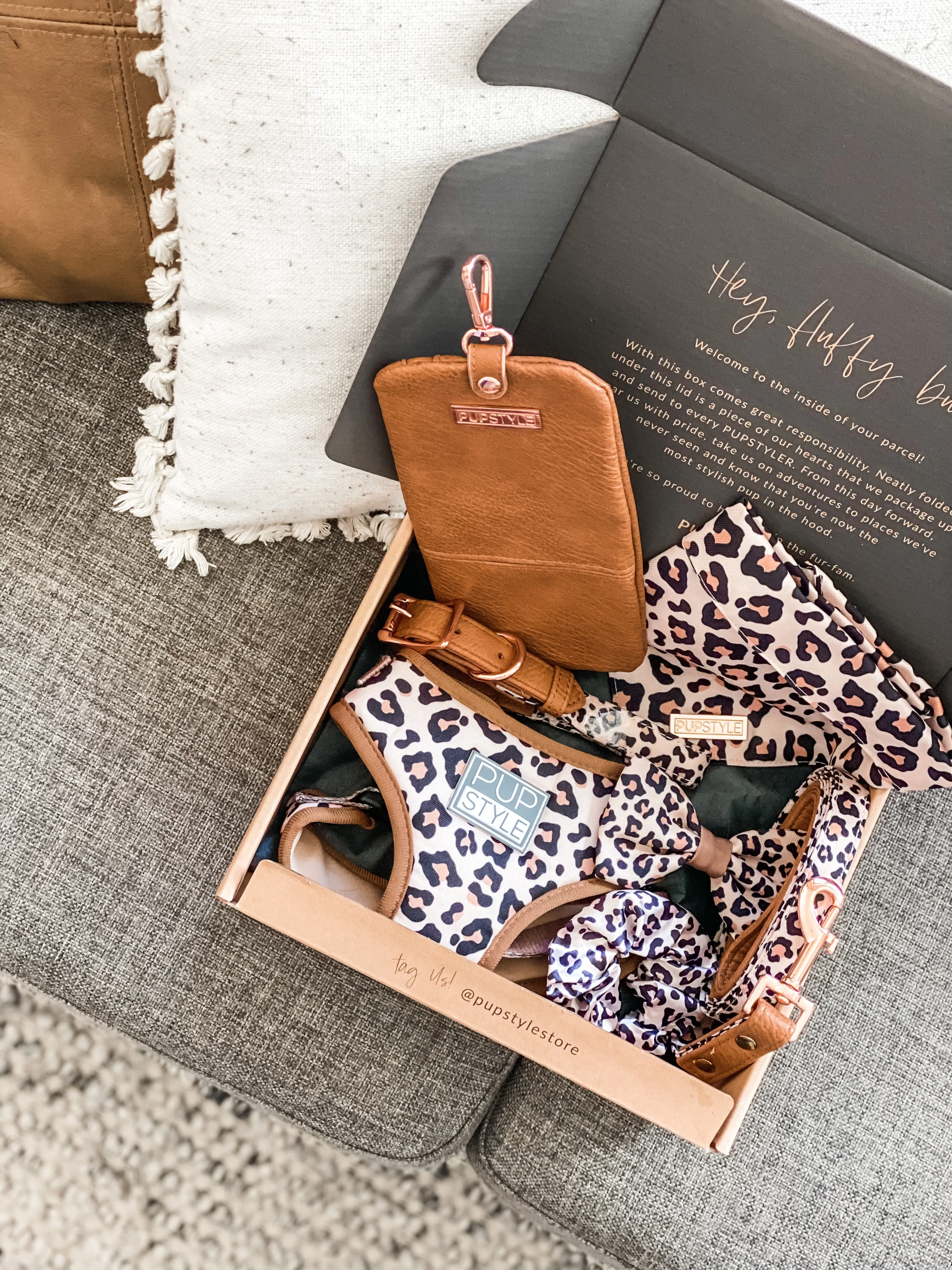 "Wild One" City Leash