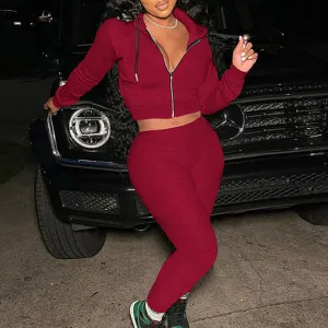 Solid Long Sleeve Zipper Design Hoodie Top & Pants Set