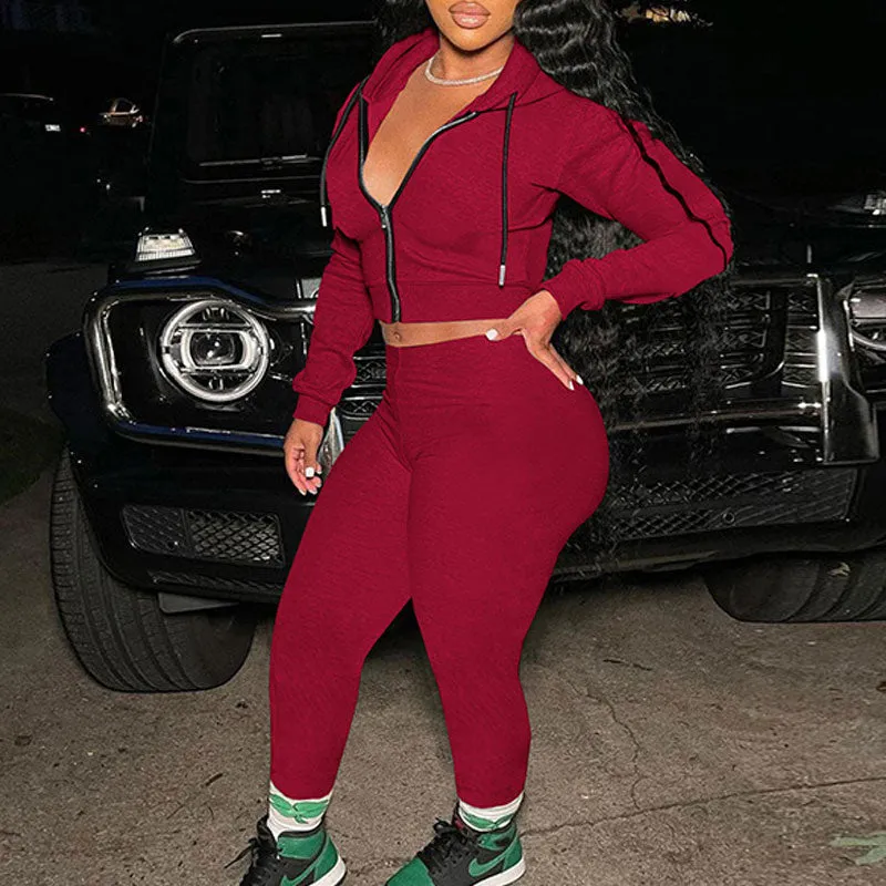 Solid Long Sleeve Zipper Design Hoodie Top & Pants Set