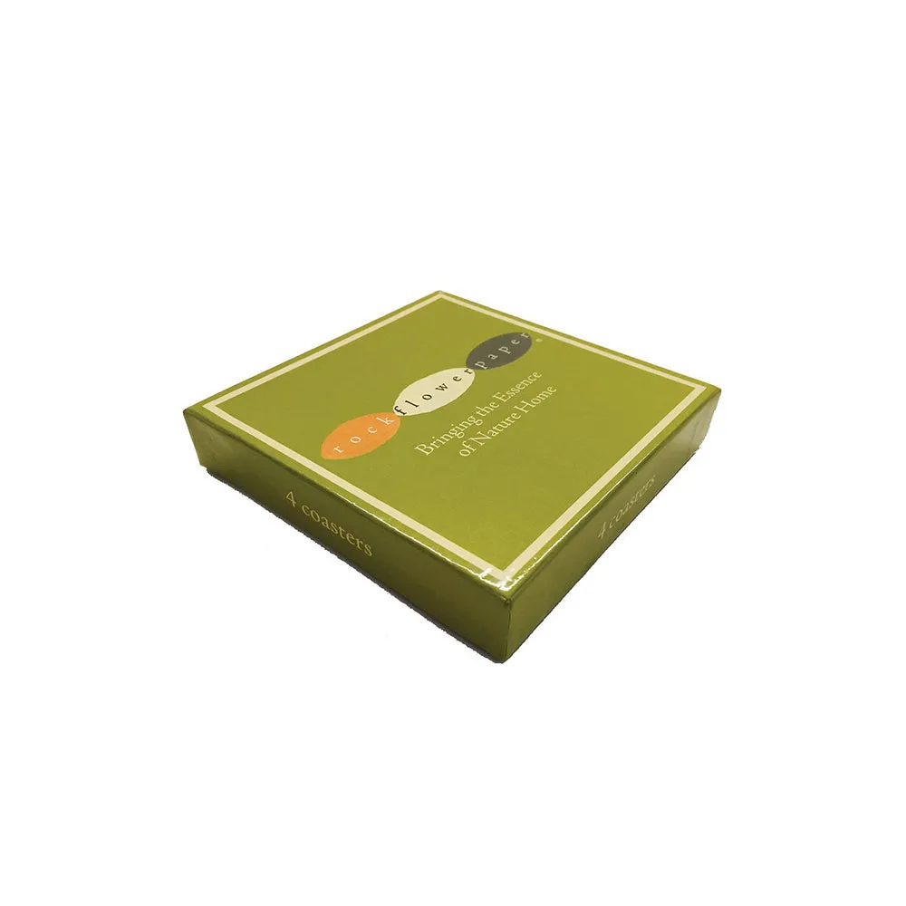 Tennis Racket Coasters (4x)