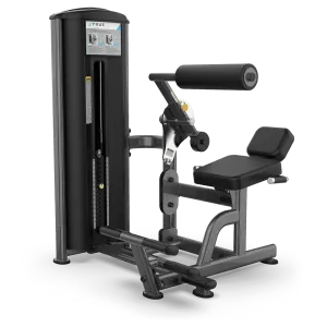 True Fitness FS-57 Low Back/Abdominal Dual Station