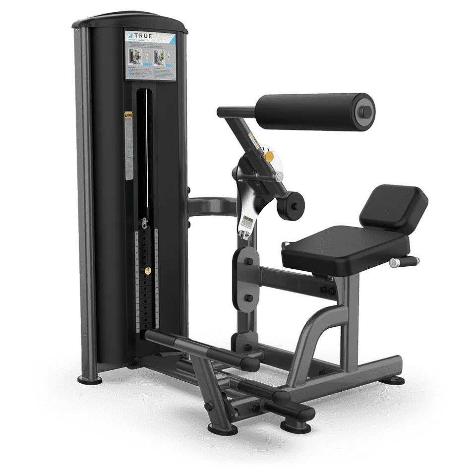 True Fitness FS-57 Low Back/Abdominal Dual Station