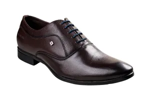Valentino Gents Choco Shoe