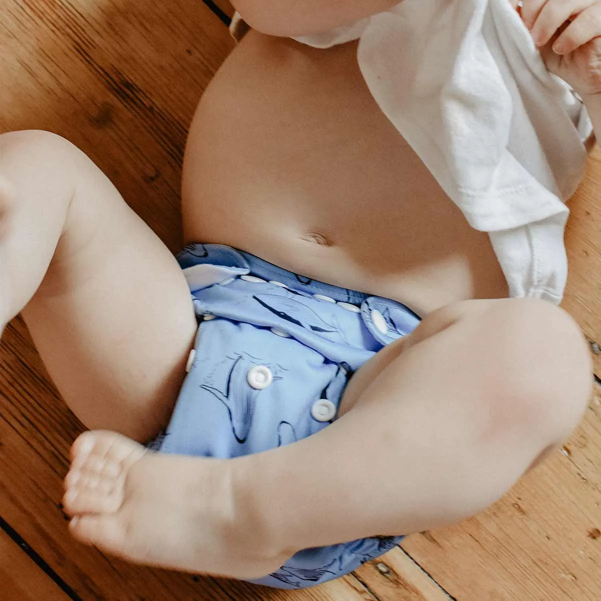 Whales Reusable Nappy Set