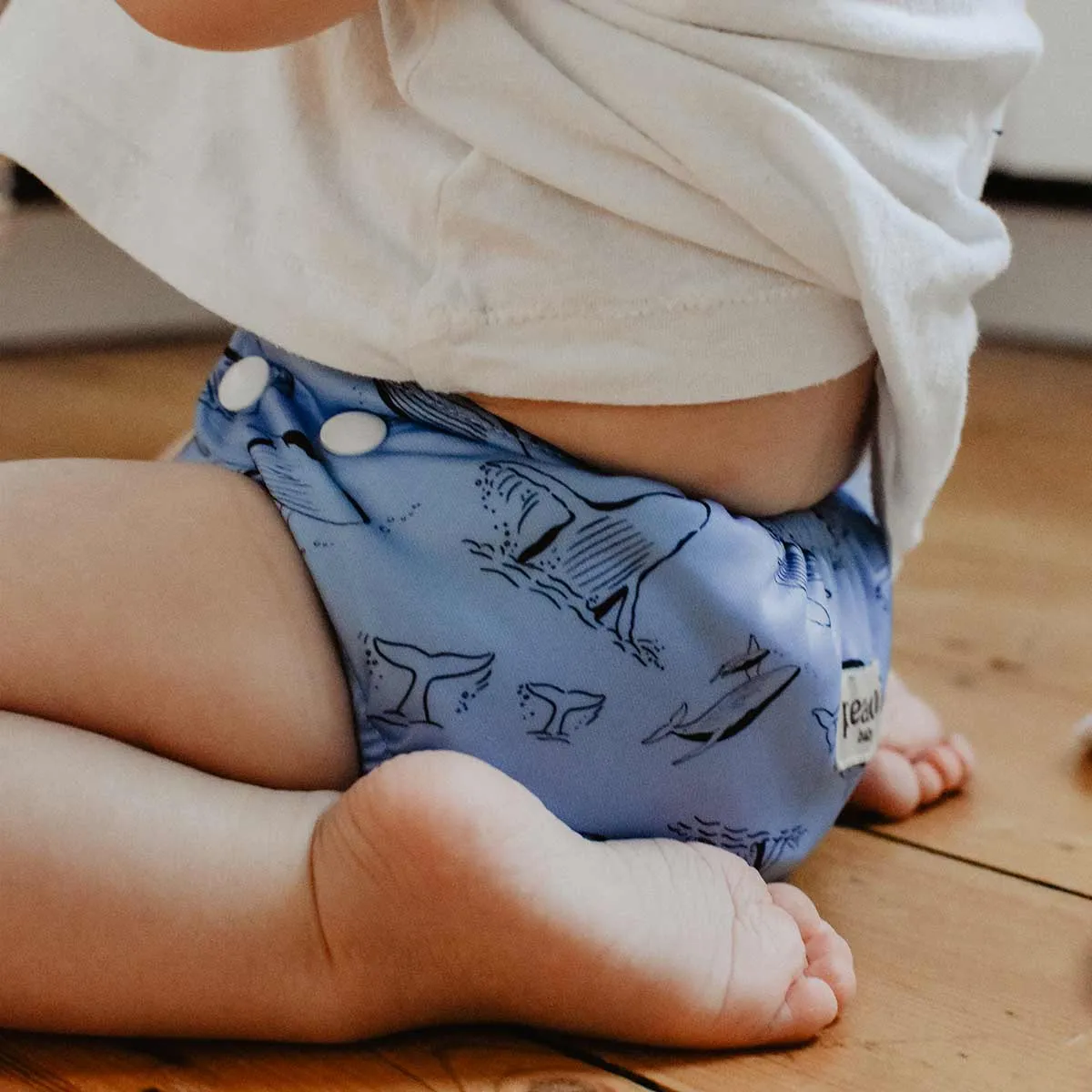 Whales Reusable Nappy Set