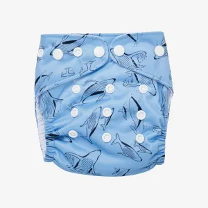 Whales Reusable Nappy Set